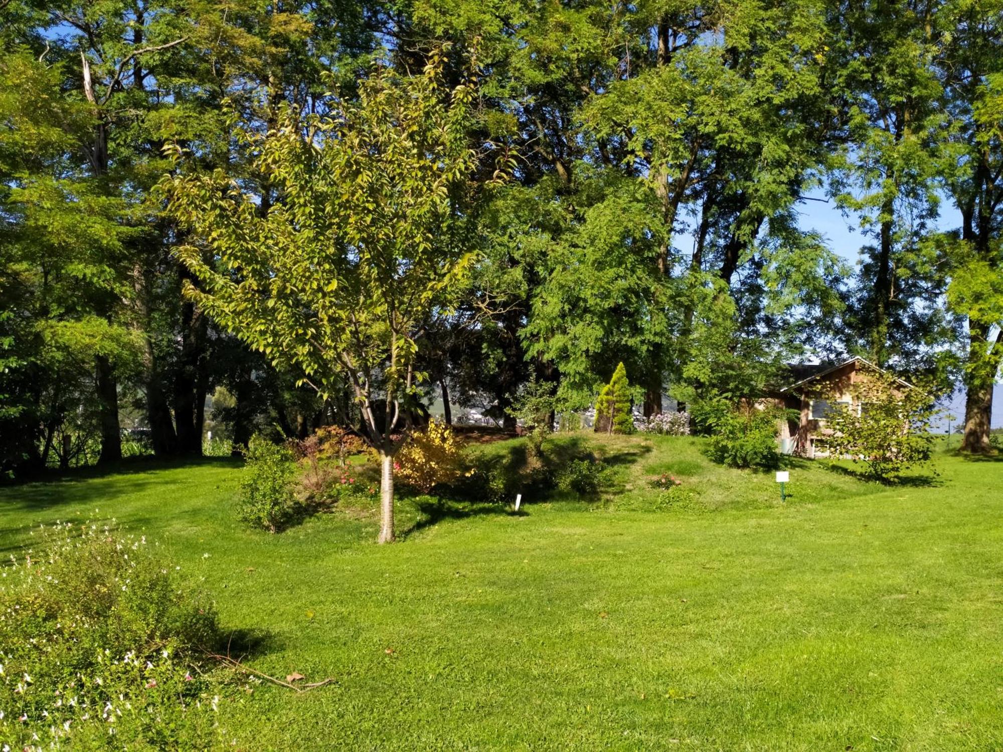 Arthur Et Germaine Maisonnette A La Campagne Avec Un Grand Jardin * Saint-Jeoire-Prieure